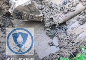 平阳县水管漏水检测公司5
